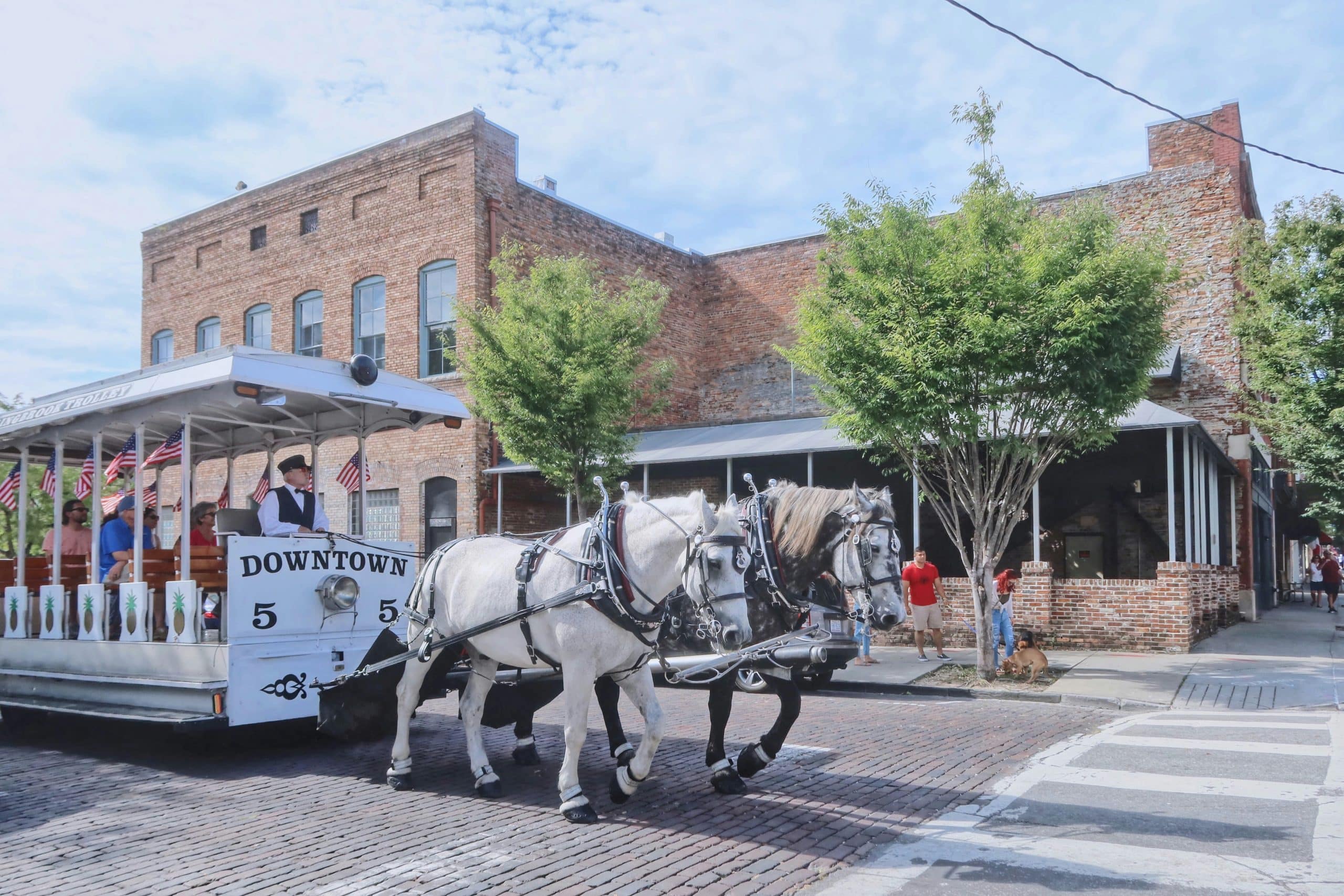 Alt text: Downtown Wilmington North Carolina historic district with horse-drawn trolley on cobblestone streets and brick buildings